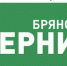 Брянщина отметила день рождения А.С.Пушкина - Газета Вестник