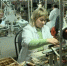 На Брянщине стартовала программа профобучения - Газета Вестник