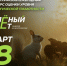 Брянцев приглашают принять участие в экологическом тестировании «Зелёный Зачёт» - Газета Вестник