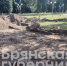 В роще Лесные сараи в Брянске готовят площадку под памятник пограничникам - Газета Вестник